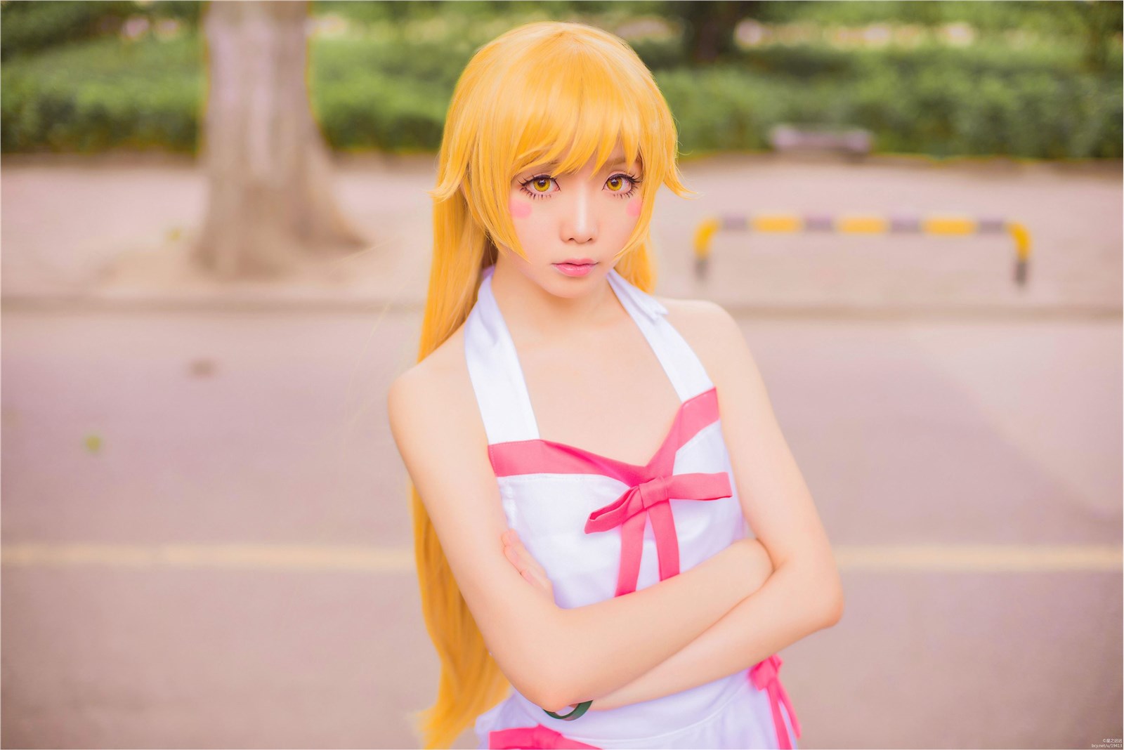 Star's Delay to December 22, Coser Hoshilly BCY Collection 9(116)